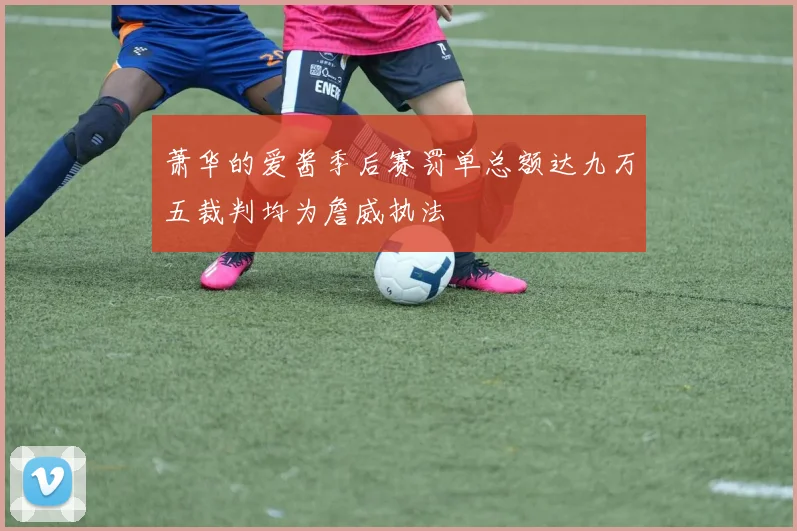 萧华的爱酱季后赛罚单总额达九万五裁判均为詹威执法
