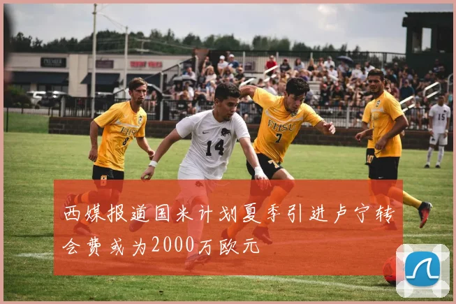 西媒报道国米计划夏季引进卢宁转会费或为2000万欧元